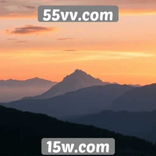 Feedback dos usuários sobre o 55vv.com